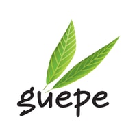 Company Logo Upload
